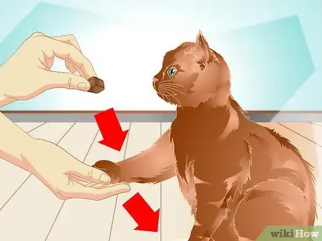 Image titled Teach a Cat to "High Five" Step 25